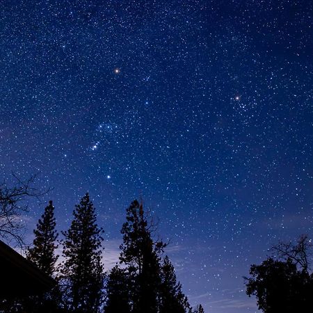 Mountain View, Near Yosemite & Bass Lake, Bbq, Fireplace,Evc آوكهيرست المظهر الخارجي الصورة